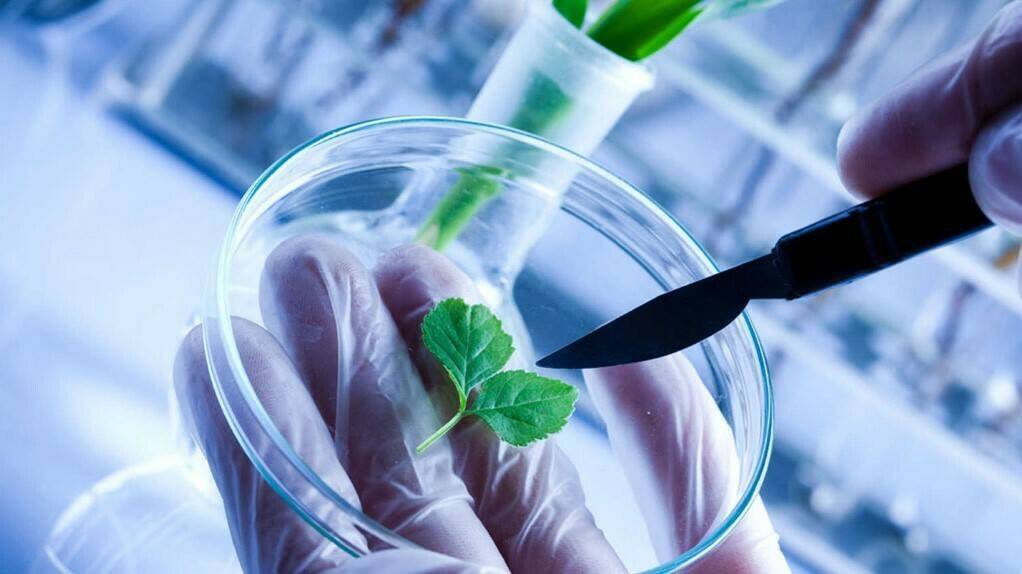 DÍA MUNDIAL DE LA PROPIEDAD INTELECTUAL